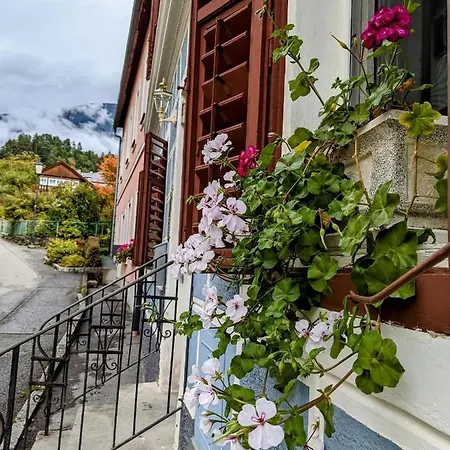 - Zum Buchsenmacher Appartement *